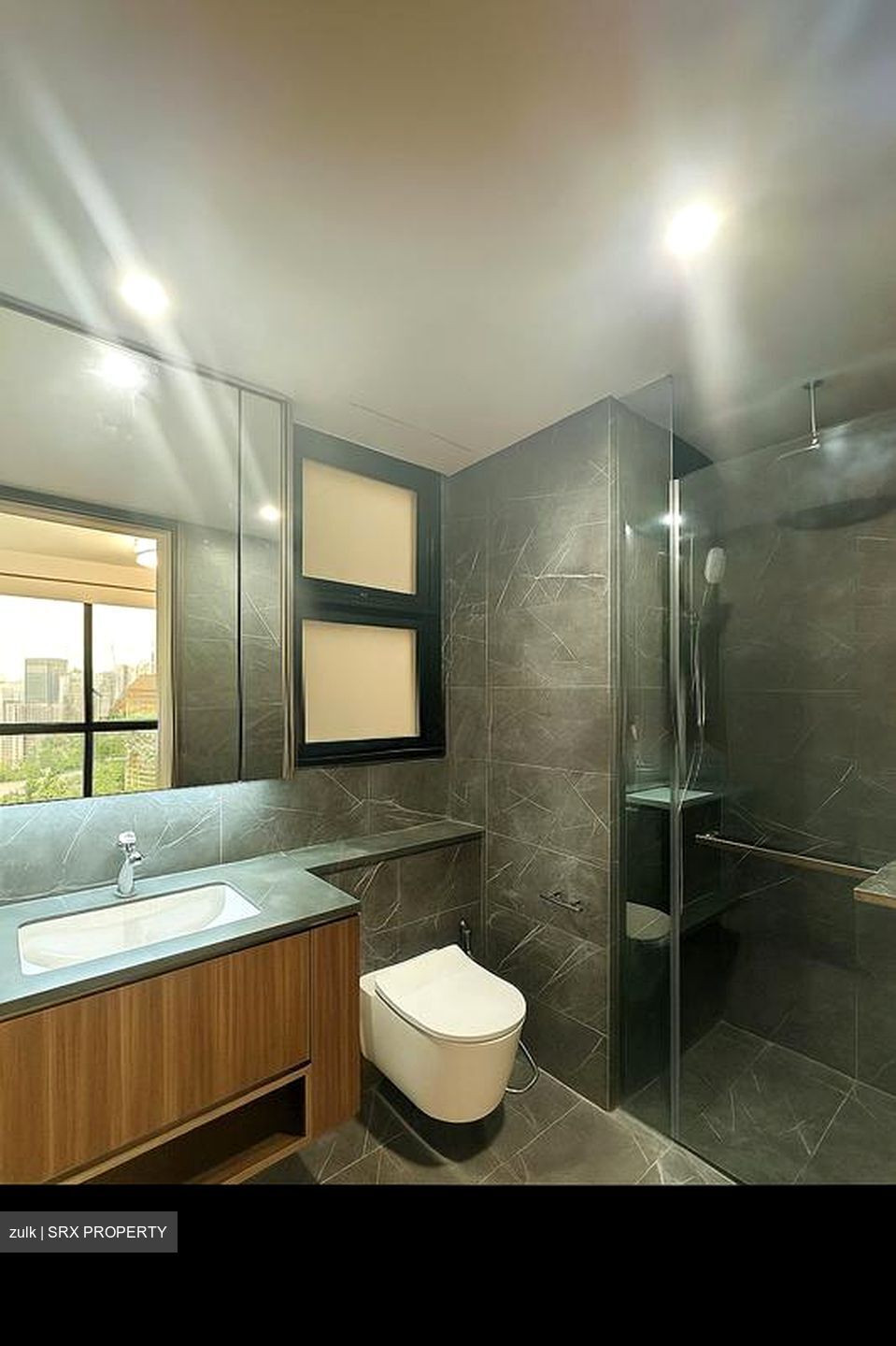 Kopar At Newton (D9), Apartment #501870311